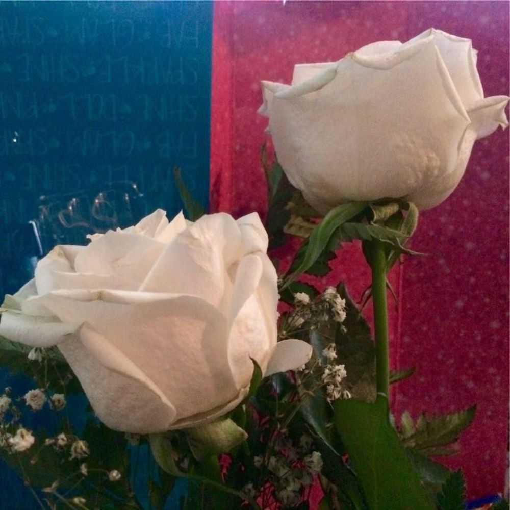 Meet your Posher, Sandra